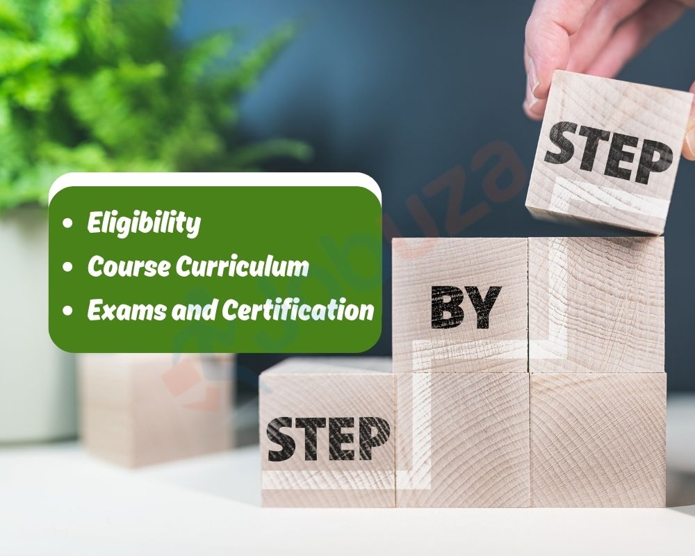 Obtaining Your O Level Certificate: A Step by Step Guide