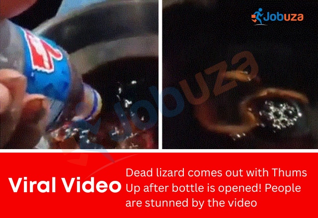 Viral Video: Dead Lizard Found Inside Thums Up Bottle After Opening
