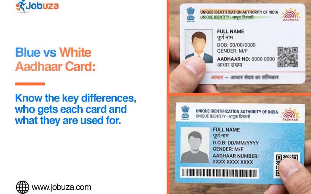 Blue vs White Aadhaar Card What Is the Difference and Who Gets Them